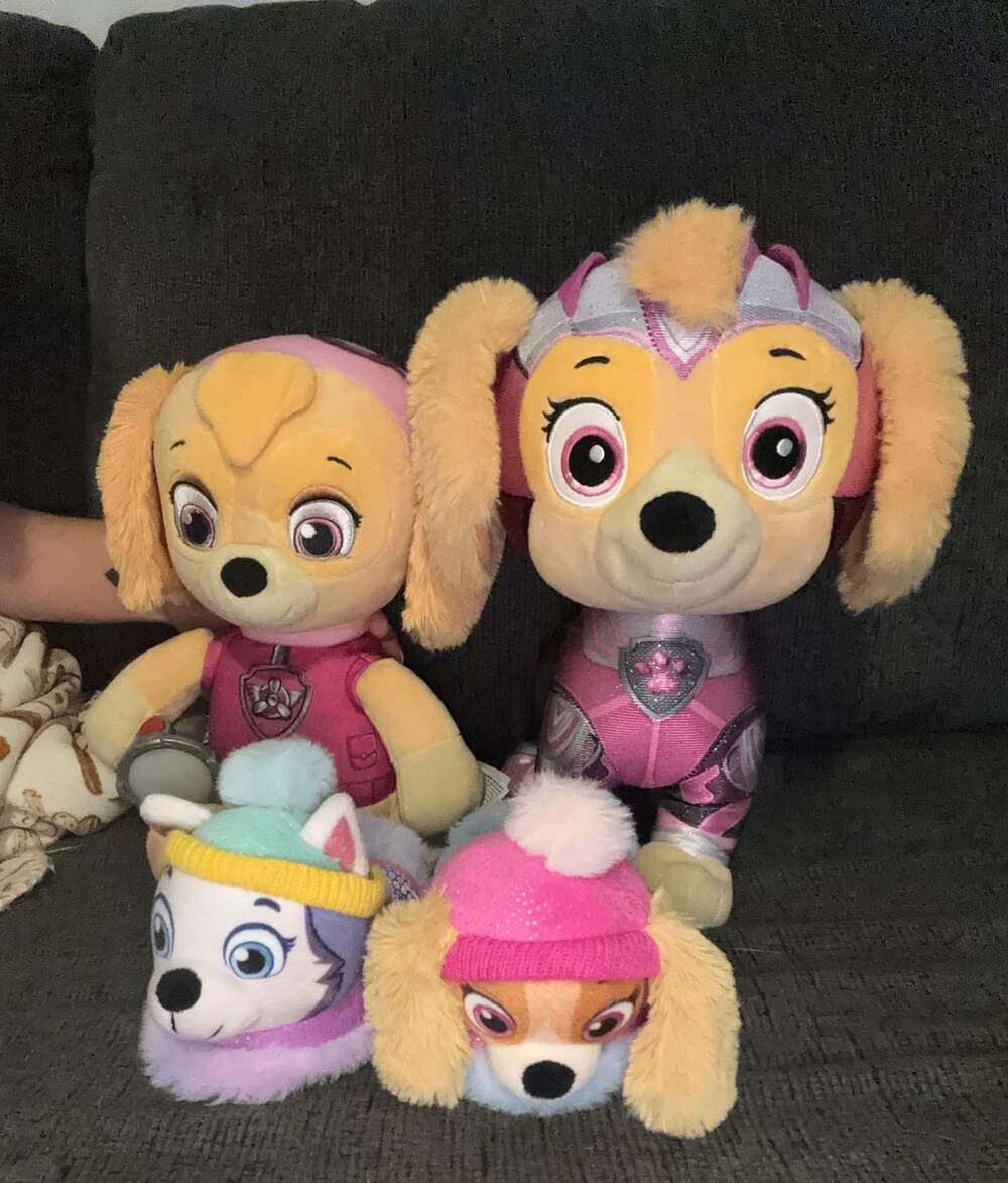 Paw Patrol Skye Lot